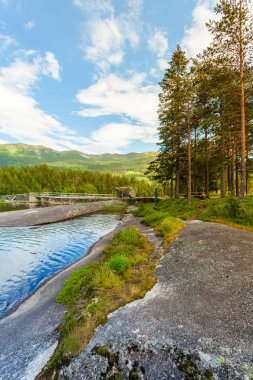 Yazın güzel dağ nehri manzarası