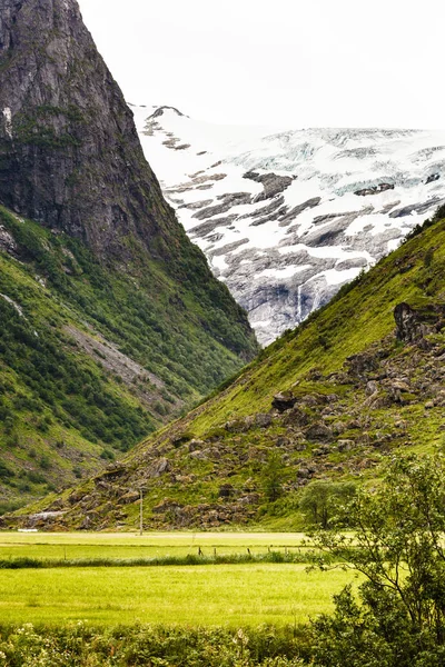 挪威山夏日风景. — 图库照片