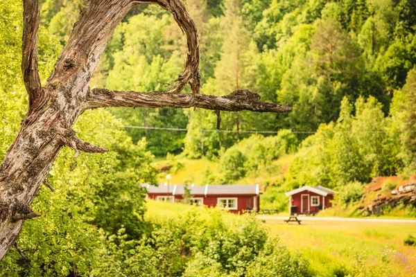 Kemping piknik asztal a norvég hegységben — Stock Fotó