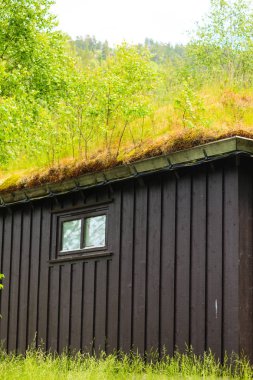 Norveç ev çim çatılı