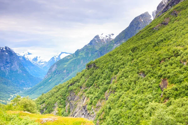 Летний пейзаж Норвегии . — стоковое фото