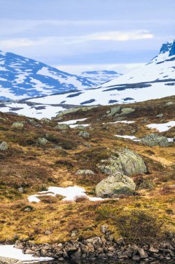 Norveç doğal dağ manzarası.