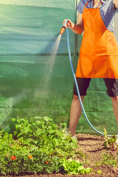 Жінка поливає сад шлангом — стокове фото