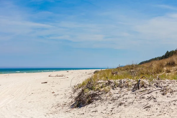 Strandzweige auf Sand — Stockfoto