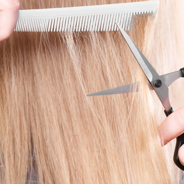 Woman cutting down smoothy hair.