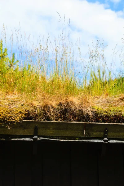 Norska hus med gräs tak — Stockfoto
