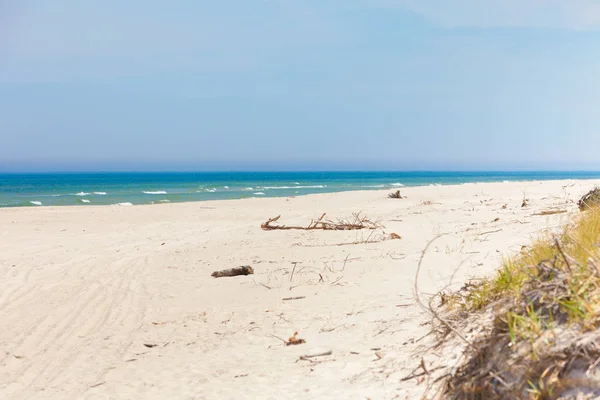 Stranden grenar på sand — Stockfoto