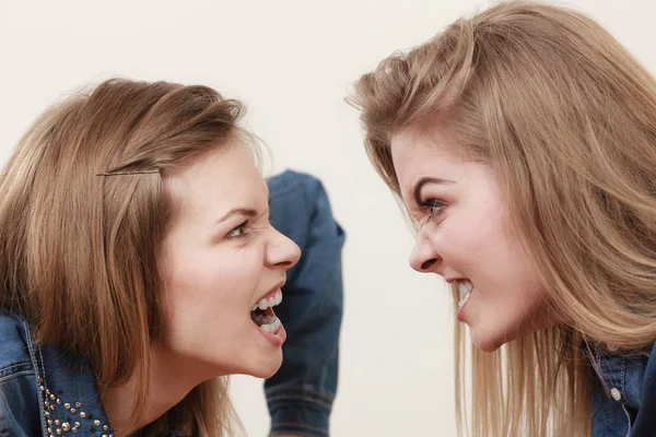 Two women having argue