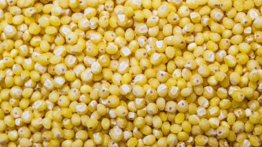 Darı kabuğu çıkarılmış tane gıda arka plan olarak