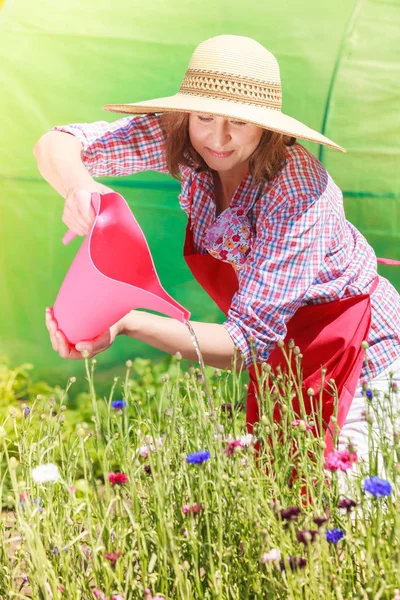 Mujer regando flores en el jardín —  Fotos de Stock