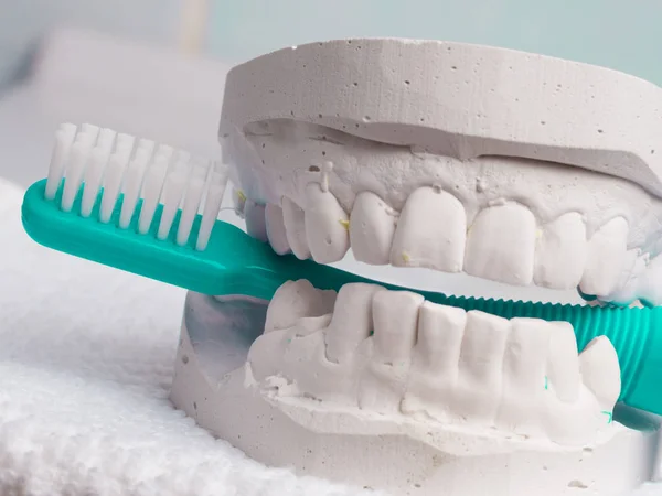 Cepillo de dientes verde con yeso dental — Foto de Stock