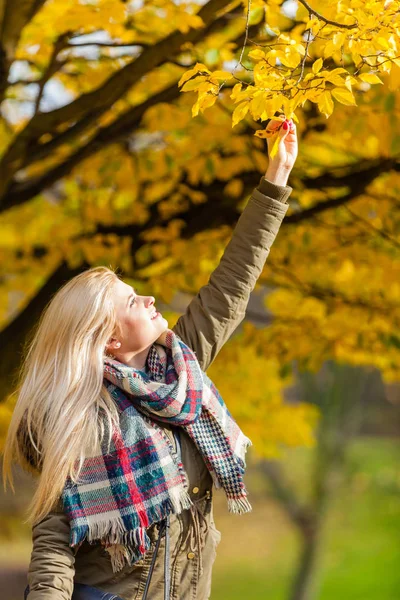 Donna che cammina nel parco, toccando foglie d'oro — Foto Stock