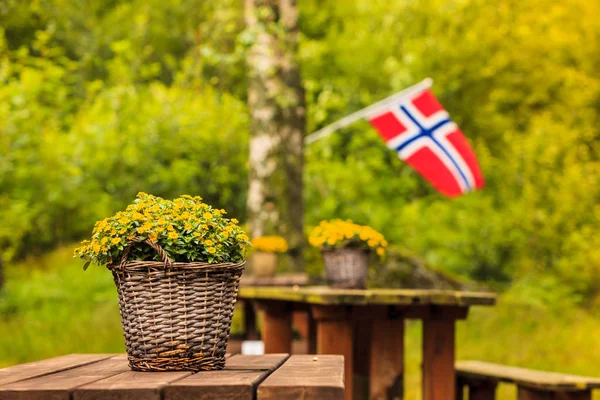 Noorse vlag en groene Picknick site — Stockfoto