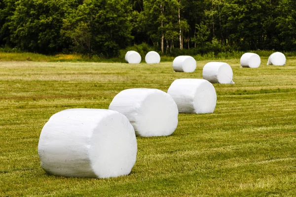 Bale of hay wrapped in plastic foil — Stock Photo, Image
