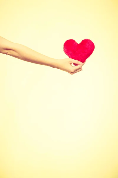 Person som innehar små lurviga hjärta, valentine gåva — Stockfoto