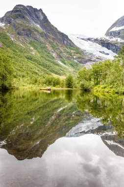 Boyabreen Buzulu ve Norveç'te Gölü