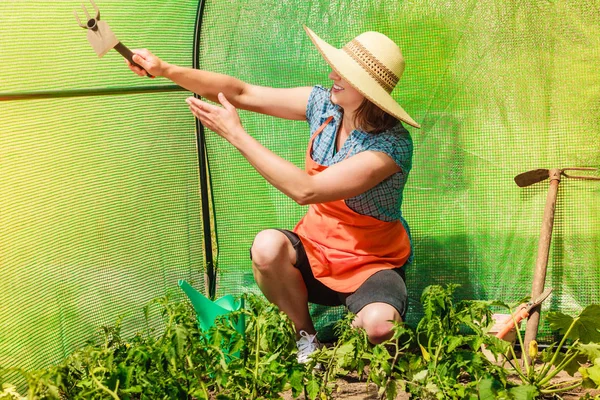 Wanita dengan alat berkebun bekerja di rumah kaca — Stok Foto