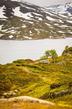Hardangervidda'da dağın Yaylası Norveç'te