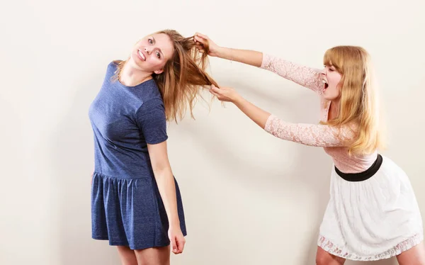 Girls pulling hair Stock Photos, Royalty Free Girls pulling hair Images |  Depositphotos