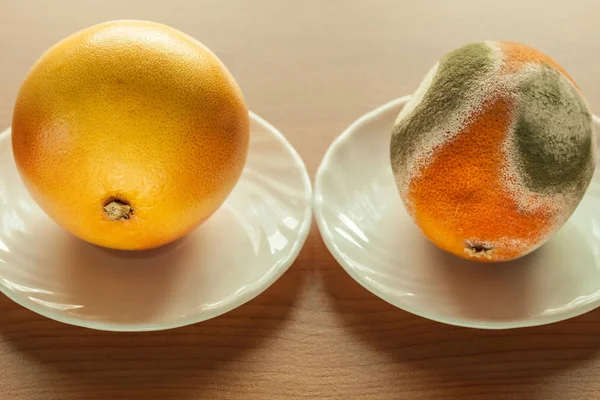 Reife und verschimmelte Grapefruit. — Stockfoto