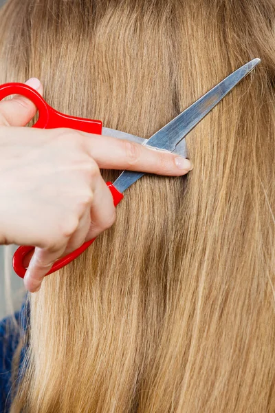 Rote Schere auf blondem Haar. Nahaufnahme. — Stockfoto