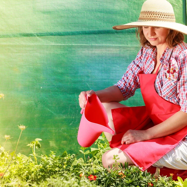 Perempuan menyiram tanaman di kebun — Stok Foto