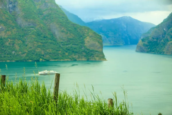 Cruise Gemi feribot Norveç Fiyordu üzerinde — Stok fotoğraf