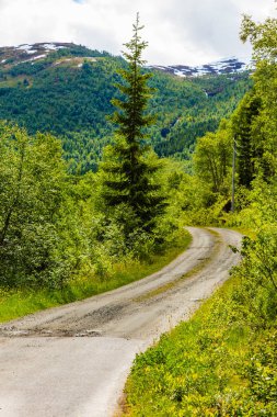 Norveç'te yaz dağlar manzara.