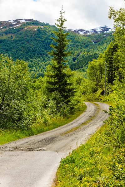 Norveç'te yaz dağlar manzara.