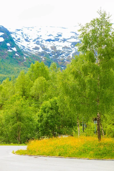 Dağlar yaz manzara Norveç'te.