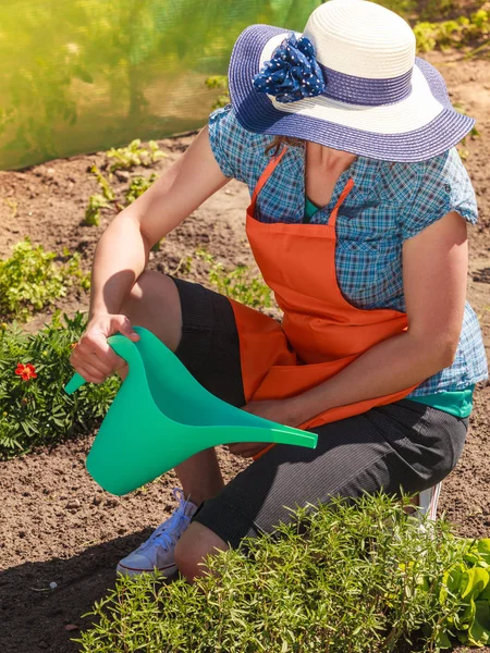 Perempuan menyiram tanaman di kebun — Stok Foto