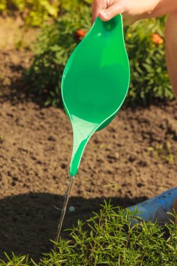 Bahçedeki çiçekleri sulayan kadın