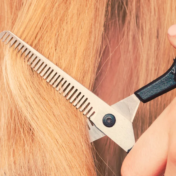 Details aus nächster Nähe. Spezialschere schneidet Haare. — Stockfoto