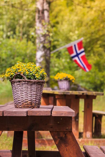 Bandera noruega y sitio de picnic verde — Foto de Stock