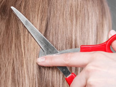 Sarı saçlı kırmızı makaslar. Yakın çekim.