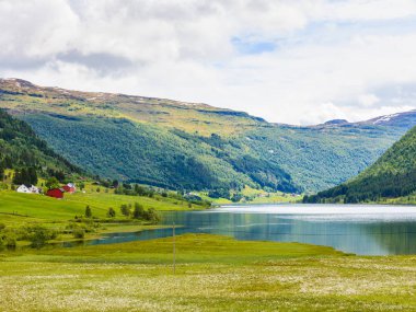Norveç'te yaz dağlar manzara.