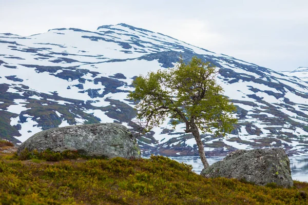 Noruega paisagem montanhosa cênica . — Fotografia de Stock