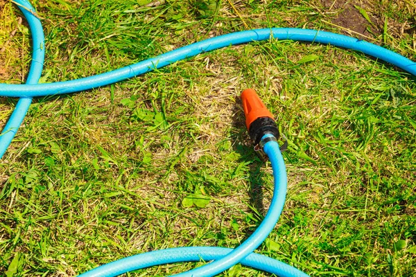 Blaue Kunststoffspritze für die Gartenarbeit — Stockfoto