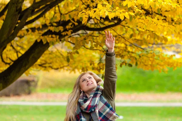 Donna che cammina nel parco, toccando foglie d'oro — Foto Stock