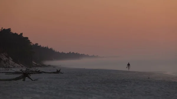 Beach during sunrise fog — Stock Photo, Image