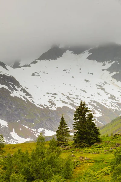 Dağlar yaz manzara Norveç'te. — Stok fotoğraf