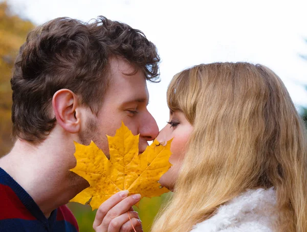 Пара с кленовым листом целуется в осеннем парке — стоковое фото