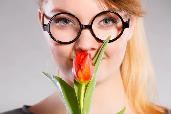 Streberin duftende Blume. — Stockfoto