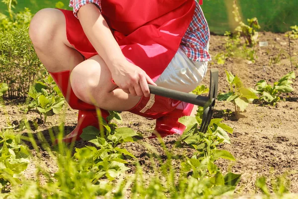 Vrouw met tuinieren tool werken in tuin — Stockfoto