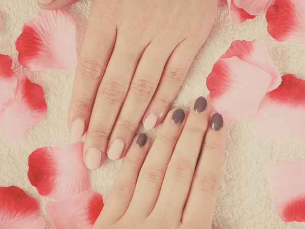 Vrouw presentatie van haar prachtige beschilderde gel hybride nagels — Stockfoto