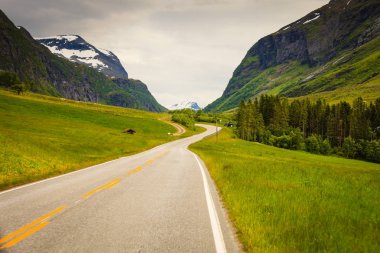 Yol manzara Norveç dağlarında