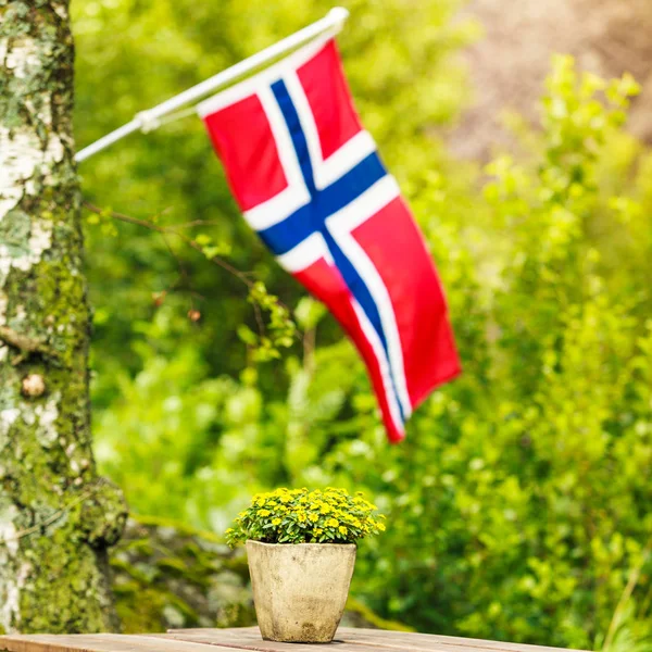 Norveç bayrağı ve yeşil piknik alanları — Stok fotoğraf