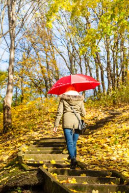 Parkta şemsiyeyle yürüyen kadın