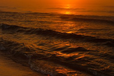 Deniz günbatımı sırasında sallayarak