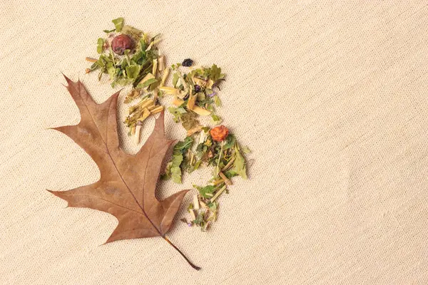 Foglie di erbe secche e foglie di quercia autunnale — Foto Stock